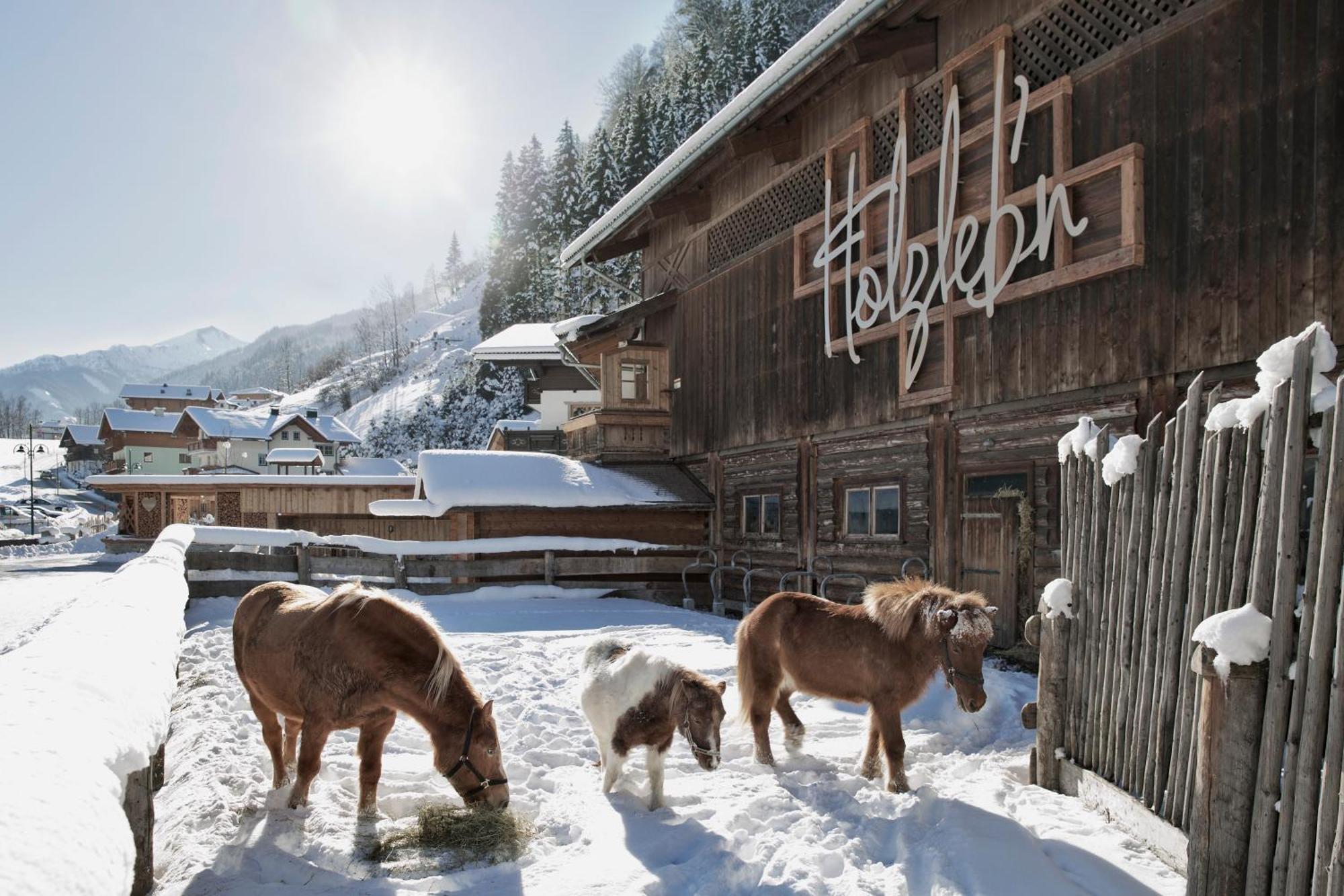Feriendorf Holzlebn Grossarl Esterno foto
